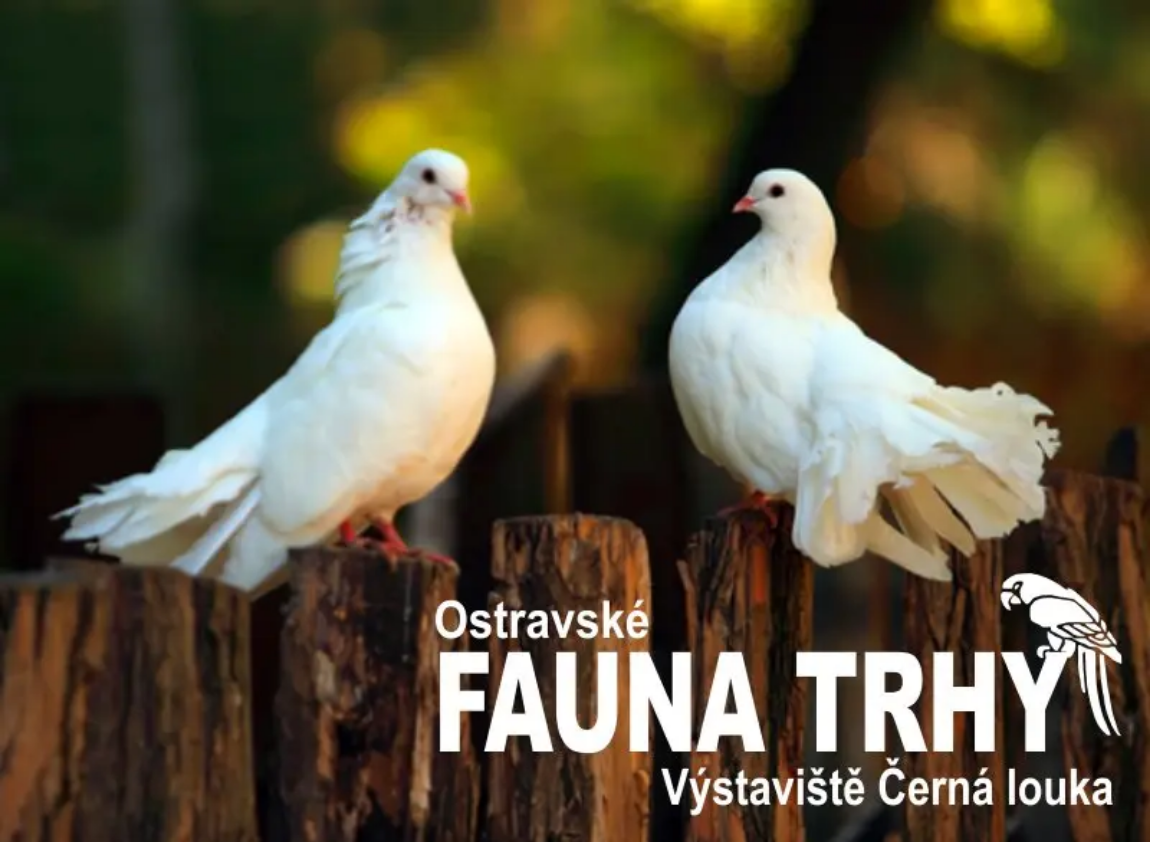 Screenshot 2025-01-08 at 15-09-23 faunaportal.cz Ostravské Fauna trhy - 23.2.2025